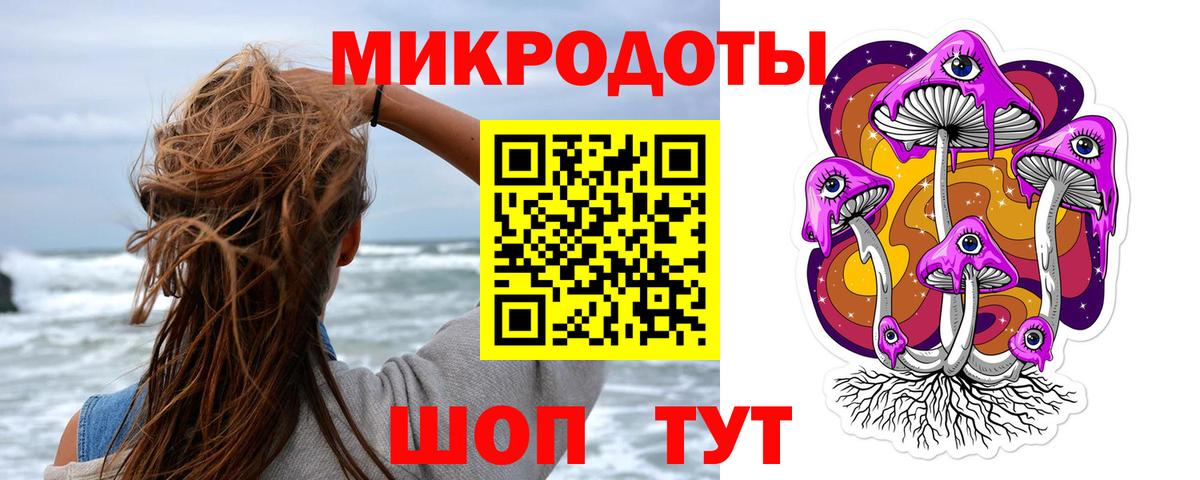 Галлюциногенные грибы Psilocybine cubensis Кирово-Чепецк